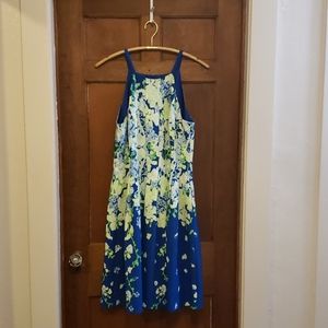NWOT Adrianna Papell Garden Party Floral Dress